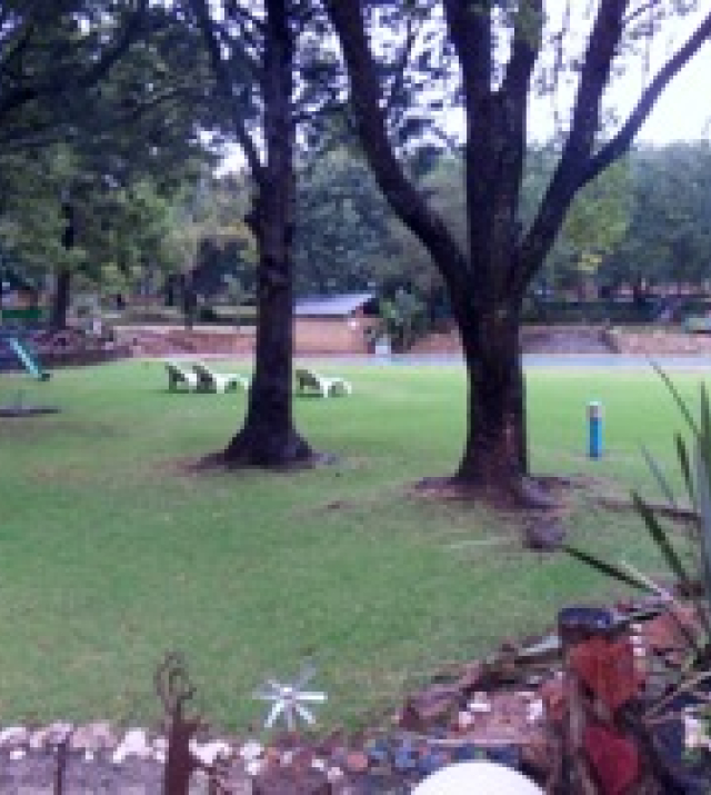 SDC10335.jpg