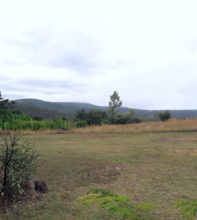 SDC10344.jpg