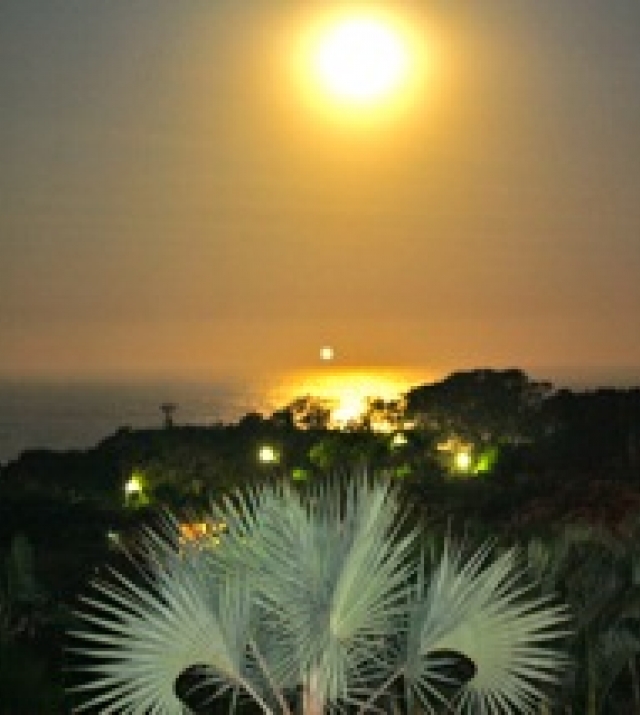 full-moon-zinkwazi-15-06-2011-001.jpg